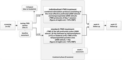 Individualized Repetitive Transcranial Magnetic Stimulation Treatment in Chronic Tinnitus?